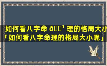 如何看八字命 🌹 理的格局大小「如何看八字命理的格局大小呢」